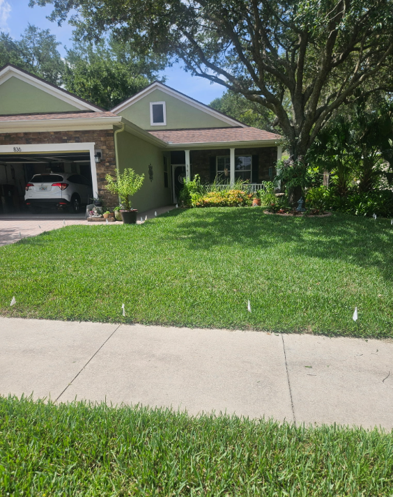 Sod Installation